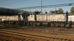 Amtrak Switchers
